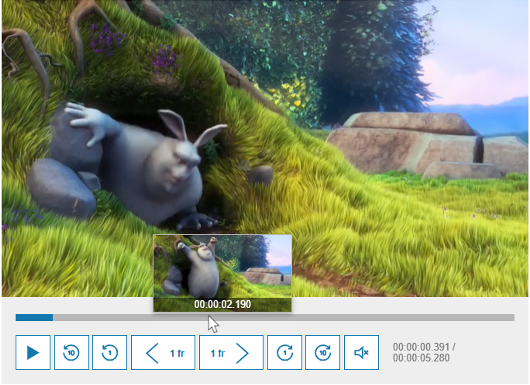 Video player with thumbnails